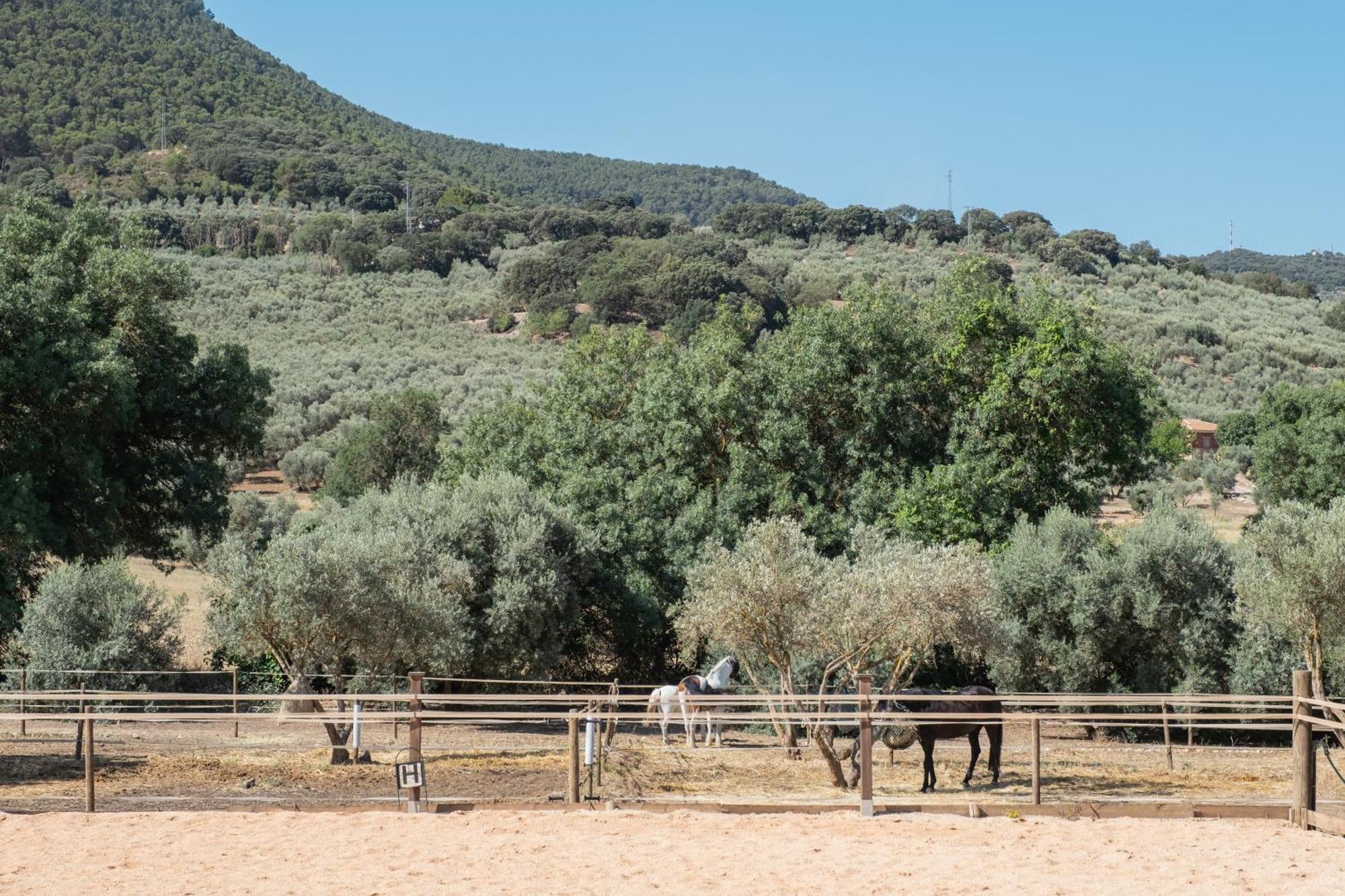 Villa Pasa Fina, Luxury Retreat